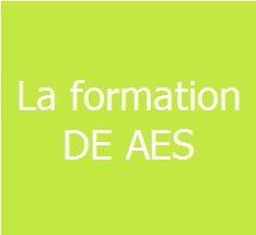 Formation – accès aux informations concernant le DE AES ( Diplôme d’Etat d’Accompagnant Educatif et Social. Diplôme de niveau 5