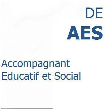 Les Diplomes d’Etat (D.E.)  lycées Réaumur et Buron