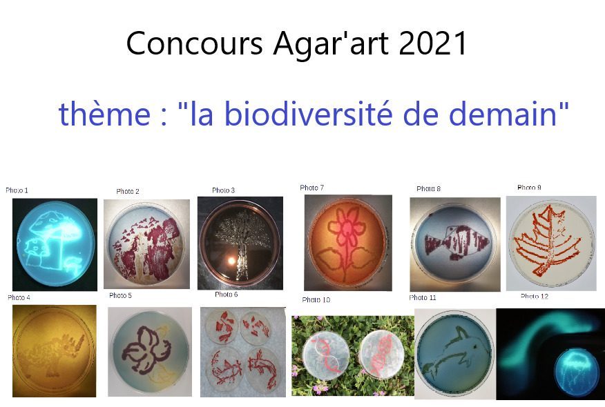 Votez pour le concours Agar’art jusqu’au 11 avril