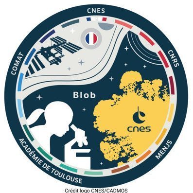 Mission #ElèveTonBlob : Certificat obtenu pour la classe de 1ère STL.